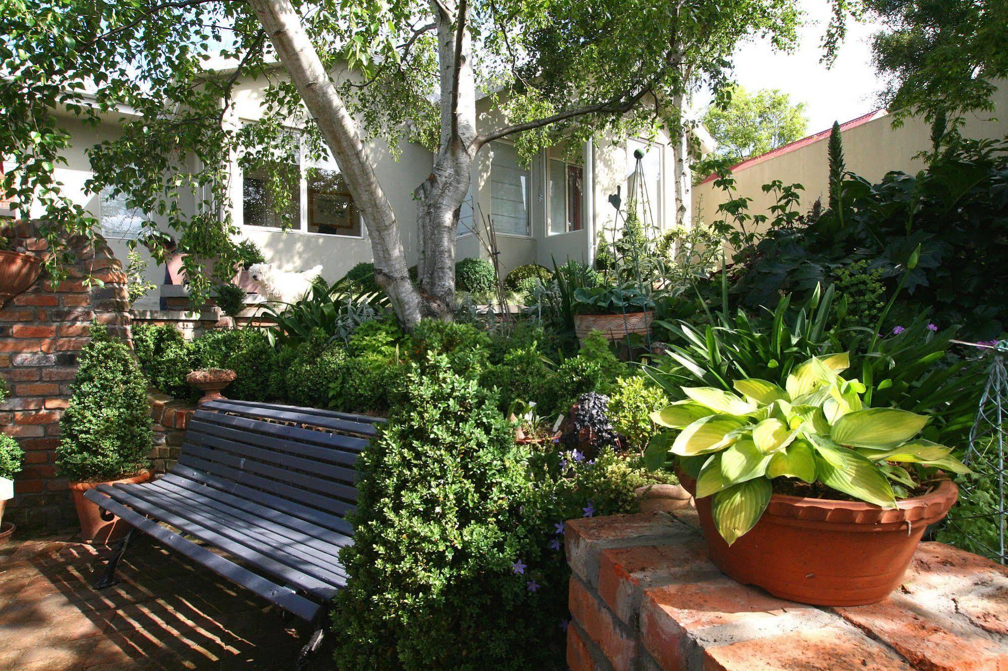Topiary Haven Launceston Exterior photo